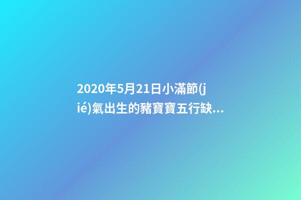 2020年5月21日小滿節(jié)氣出生的豬寶寶五行缺什么？怎么化解？ 84年5月21日五行屬什么，1984年屬鼠的五行屬什么-第1張-觀點(diǎn)-玄機(jī)派